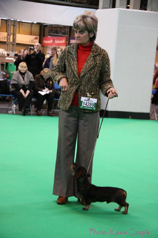 Crufts2011_2 520.jpg